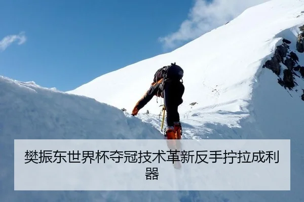 樊振东世界杯夺冠技术革新反手拧拉成利器